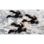 Csillámos dekorgumi boszorkány seprűn, 10 darab/csomag