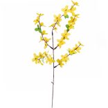 Aranyeső ág, 50 cm