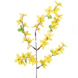 Aranyeső ág, 50 cm