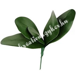 Orchidea levél, 18 cm
