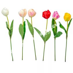 Tulipán szálas, 45 cm