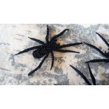 Csillámos dekorgumi pók, 10 darab/csomag